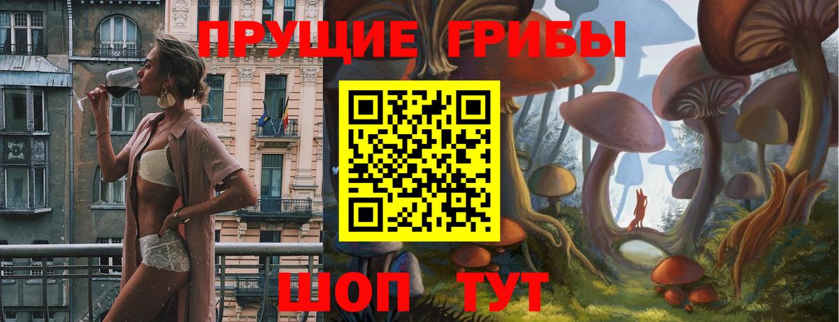 Галлюциногенные грибы Psilocybine cubensis  Вход с VPN  Касимов 